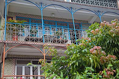 火焰鸡、谜拟Q及魔幻假面喵加入《宝可梦：大集结》